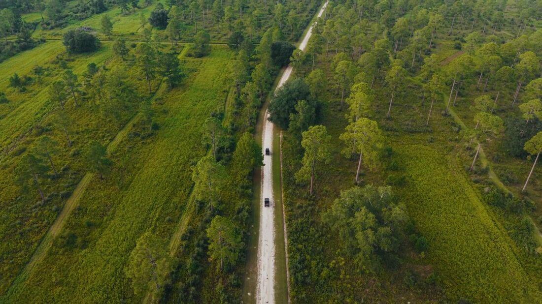 Muckalee Plantation investment film