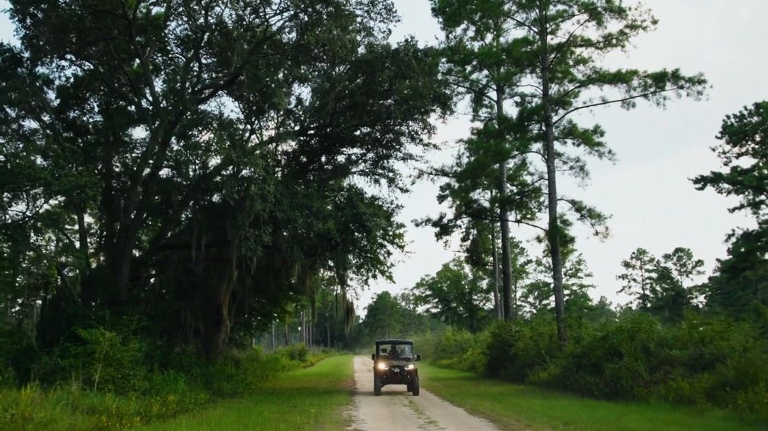 Muckalee Plantation recreation film